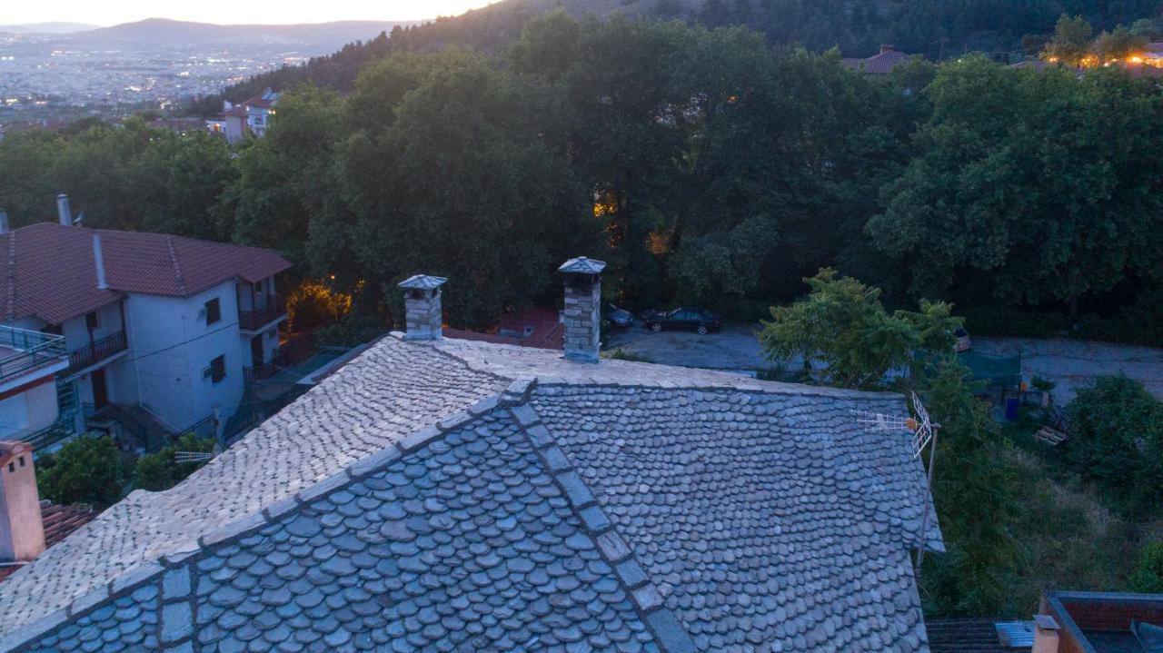 Mountain Breeze Sanctuary Villa Volos Eksteriør billede